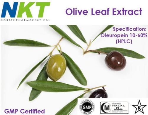 Olive Leaf Extract, Packaging Type : 25kg/drum