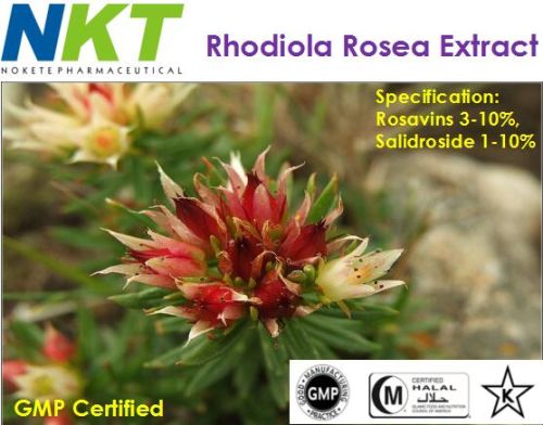 Rhodiola Rosea Extract