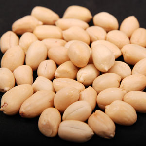 Java Type Peanuts Kernels