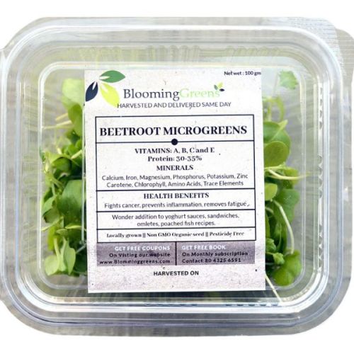 Organic Beetroot Microgreens, Packaging Type : Plastic Bag