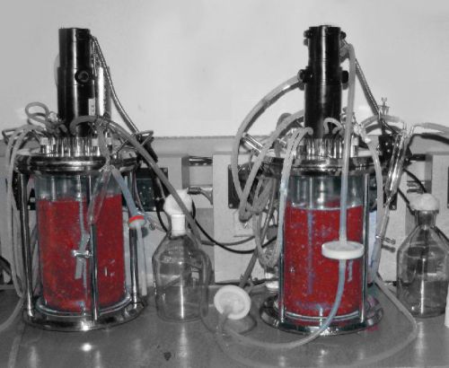 Laboratory Fermenter