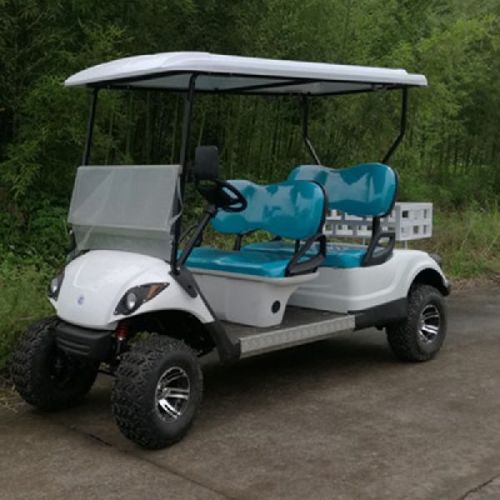 Gas Utility Golf Cart