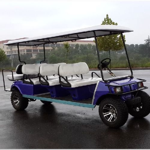 Electric Sightseeing Cart