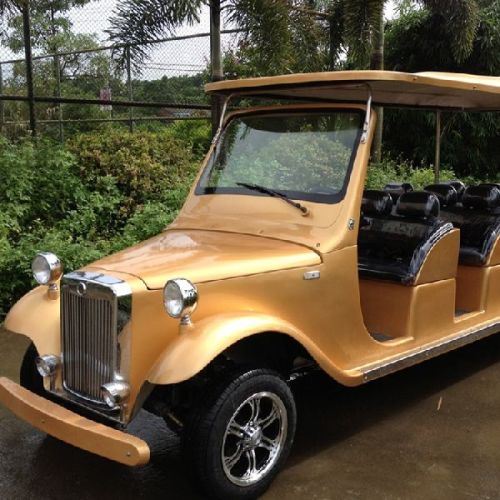 Luxury Electric Classical Golf Cart