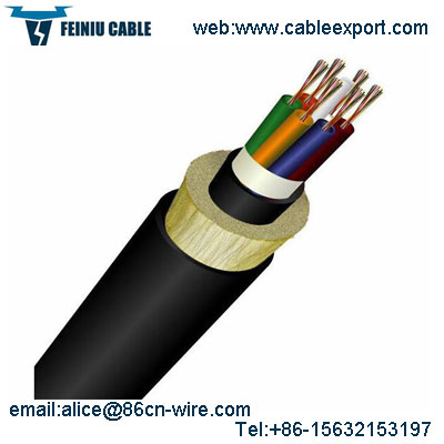 Fiber optic cable, Brand Name : feiniu for Industrial