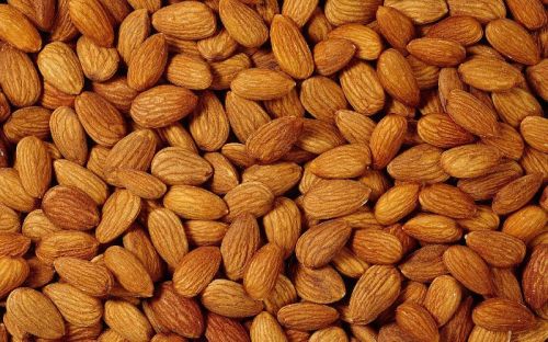 Organic Sweet Almond Nuts, Certification : SGS, Grade : Food Grade