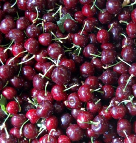 Fresh cherries