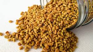 Common Fenugreek Seeds, Packaging Type : Jute Bags