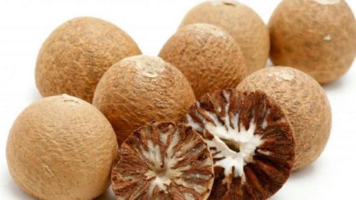 Areca Nuts