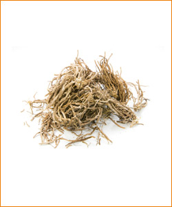 Vetiver Roots