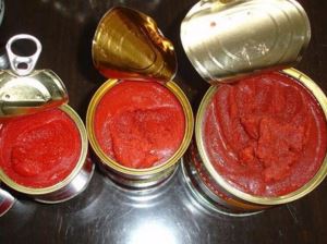 Canned Tomato Paste, Certification : HACCP, ISO, KOSHER