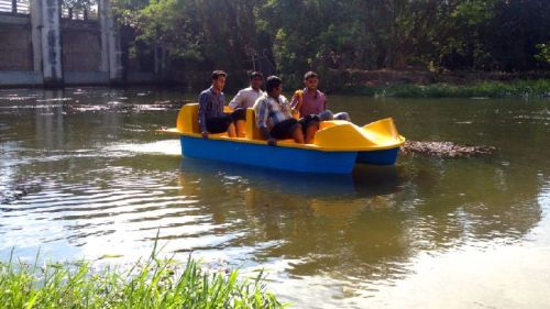 Paddle Boat