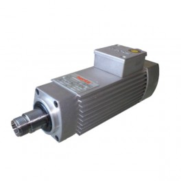 Spindle Motors