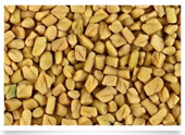 Fenugreek Seeds