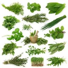 Natural Herbs