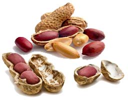 Groundnut Kernels