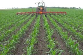 Zinc Sulphate Heptahydrate Fertilizer