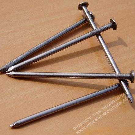 Common Iron Nail