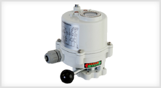 DC Electrical Actuator