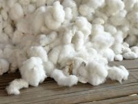 Free Natural Raw Cotton