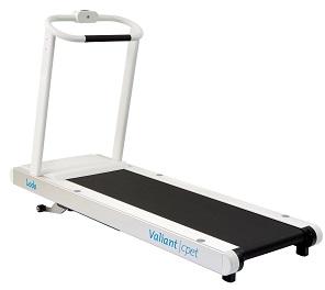 Cardio Fitness Equipments