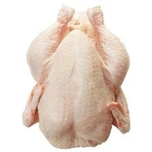 GRADE A HALAL WHOLE FROZEN CHICKEN FROM BRAZIL