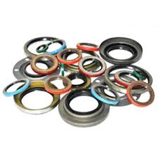 Oil Seals