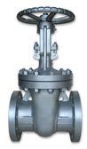 Cast Steel Gate Valve