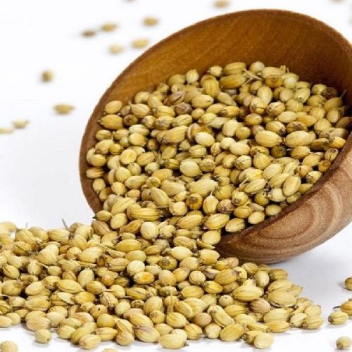 Coriander seeds, Drying Process : Sun Dried