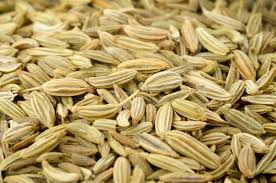 Fennel Seeds