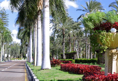 Irrigation Systems Installation Services