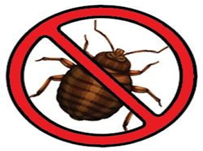 Bed Bug Pest Control