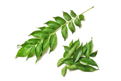 Fresh Curry Leaves