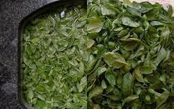 HSDL FRESH Freeze Dried Basil Leaves, Color : Green