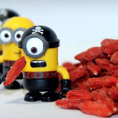 Size 220 Low Pesticide Wolfberry