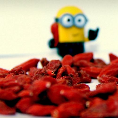 Size 500 Conventional Wolfberry