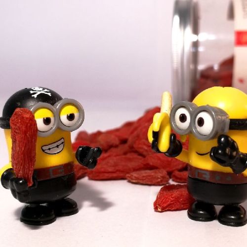 Size 750 Low Pesticide Goji Berry