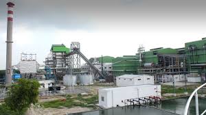 Sugar Plant