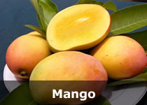 Organic Fruits, Organic Vegetables