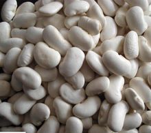 Egyptian White Kidney Beans