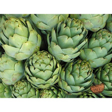 Fresh Artichoke