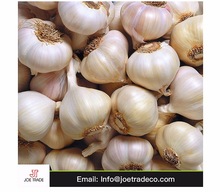 Fresh China Red Garlic