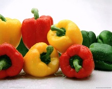 Fresh Egyptian Bell Pepper, Brand Name : Pimiento