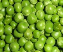 Organic Fresh Egyptian Green Peas, Packaging Type : Carton Outer