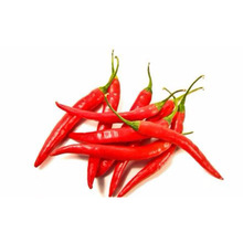 Fresh Egyptian Red Chili, Brand Name : JOE TRADE CO