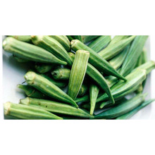 Fresh Okra