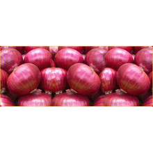 Fresh red onion For Cooking