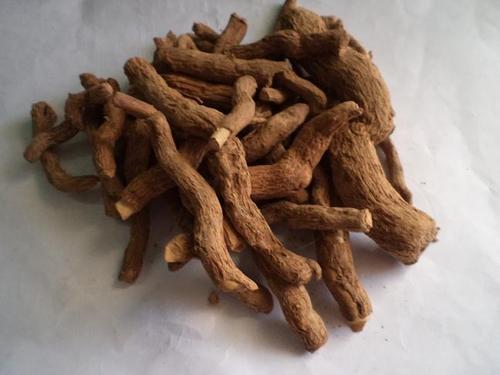 Sarpagandha Root