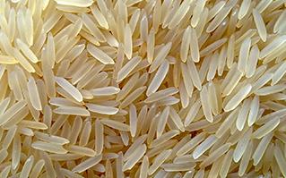 1121 Golden Sella Basmati Rice