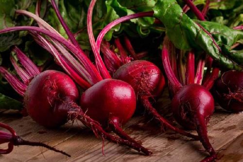 Organic Fresh Beetroot